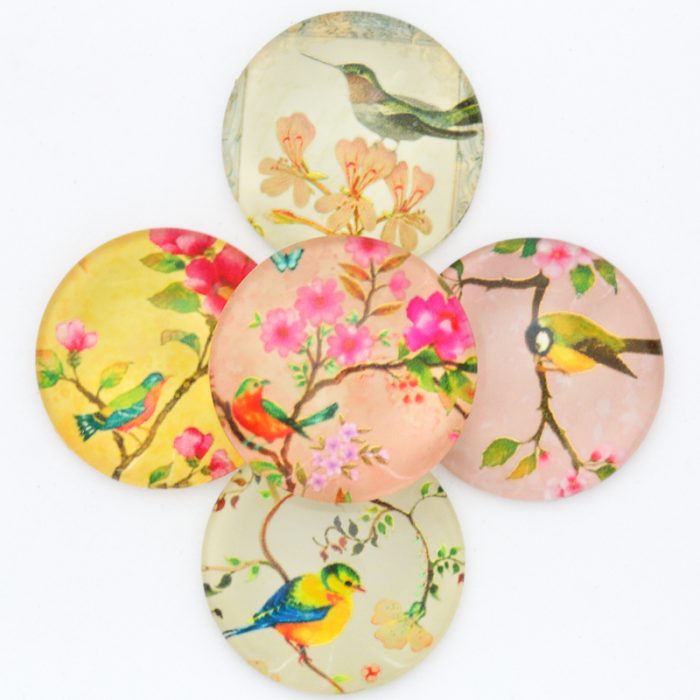 Mixed 25mm Birds x 5 pieces