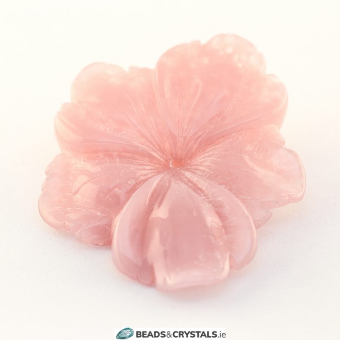 Acrylic While Viola Flower 50x40mm (3 pieces) - Image 8